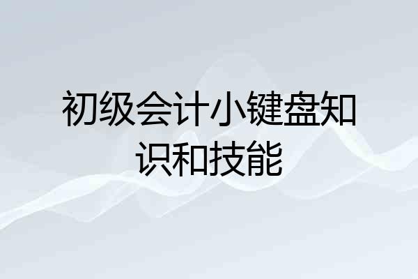 初级会计小键盘知识和技能