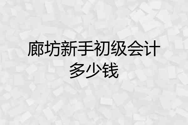 廊坊新手初级会计多少钱