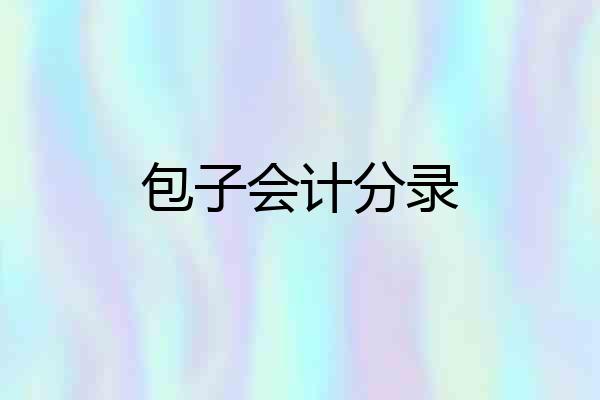 包子会计分录