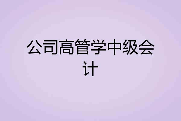 公司高管学中级会计