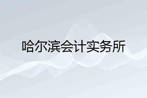 哈尔滨会计实务所