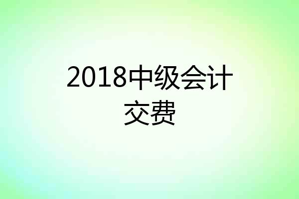 2018中级会计交费