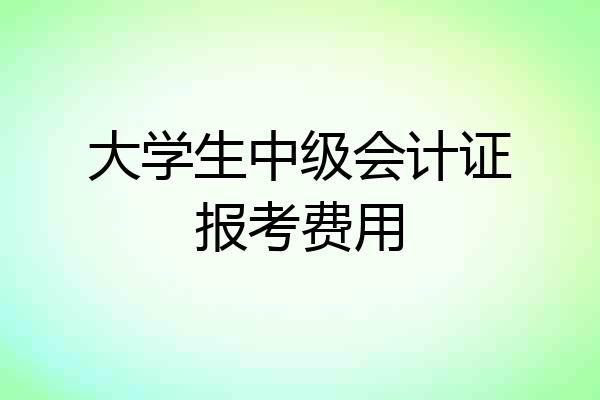 大学生中级会计证报考费用