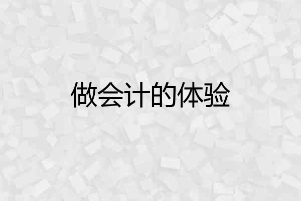 做会计的体验