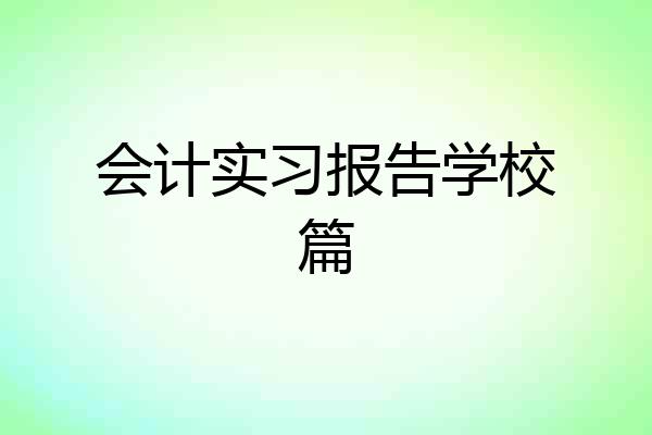 会计实习报告学校篇