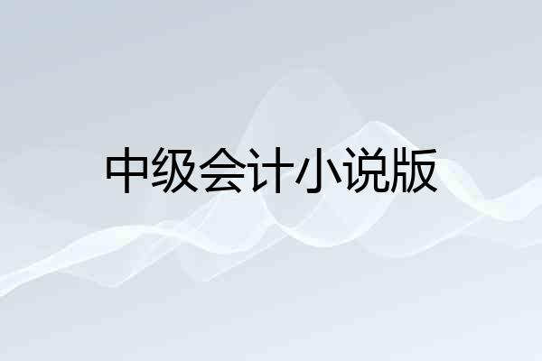中级会计小说版