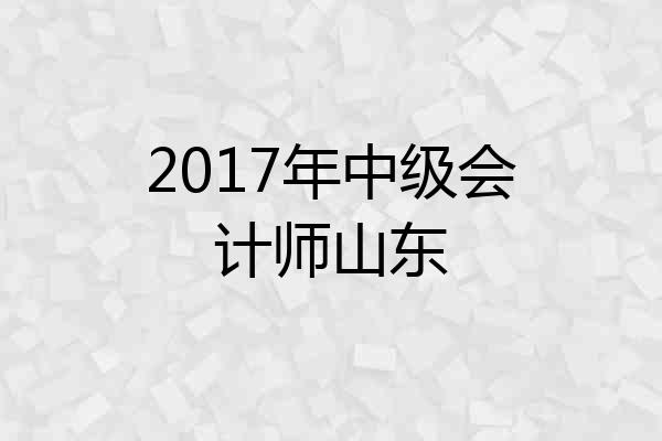 2017年中级会计师山东
