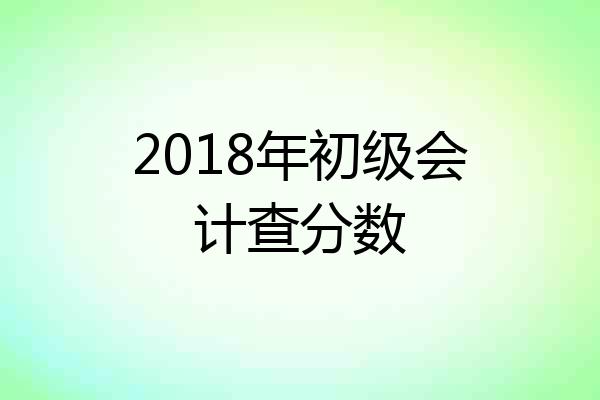 2018年初级会计查分数