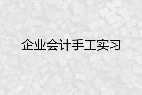 企业会计手工实习