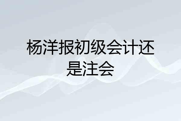 杨洋报初级会计还是注会