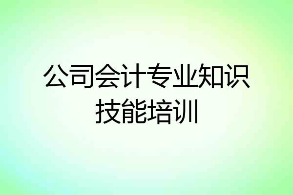 公司会计专业知识技能培训