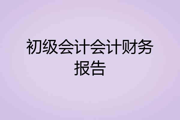 初级会计会计财务报告