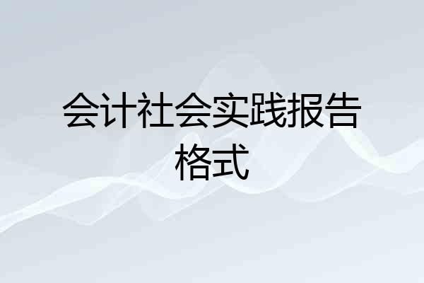 会计社会实践报告格式