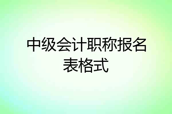 中级会计职称报名表格式
