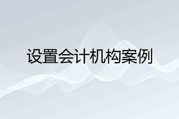 设置会计机构案例