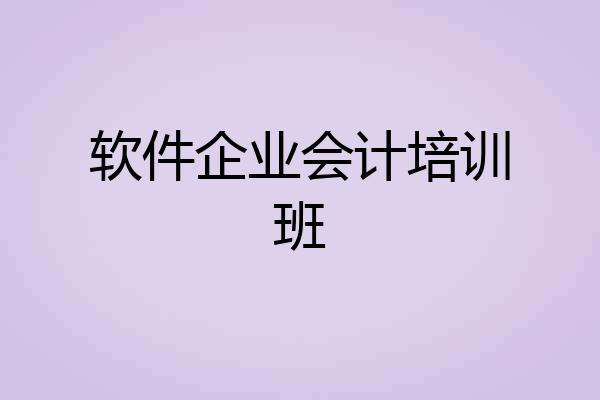 软件企业会计培训班