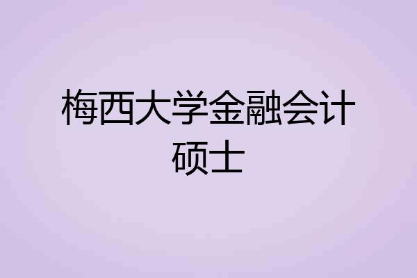 梅西大学金融会计硕士