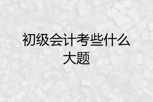 初级会计考些什么大题
