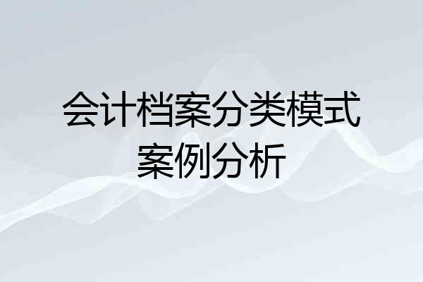 会计档案分类模式案例分析