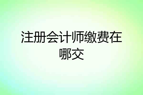 注册会计师缴费在哪交
