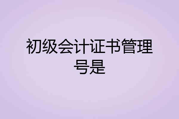 初级会计证书管理号是