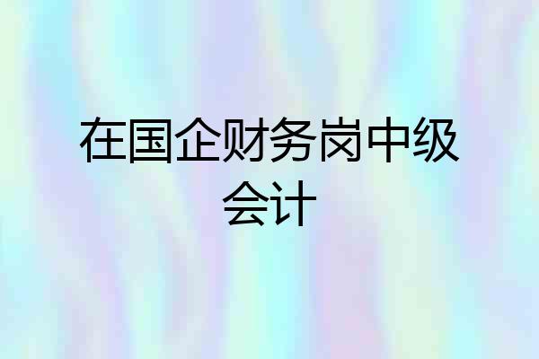 在国企财务岗中级会计