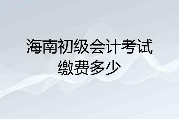 海南初级会计考试缴费多少