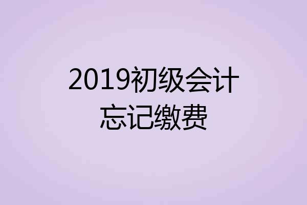 2019初级会计忘记缴费
