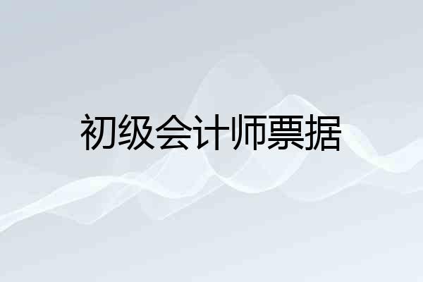 初级会计师票据
