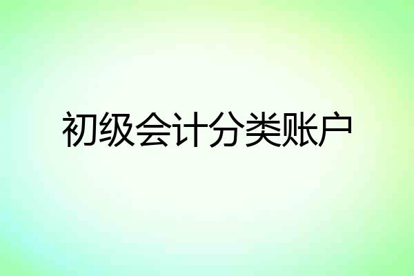 初级会计分类账户