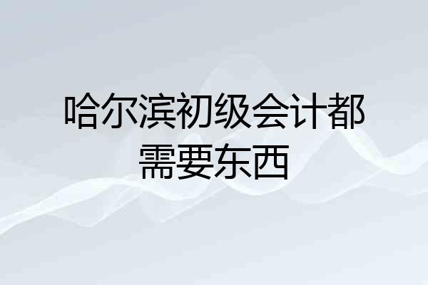 哈尔滨初级会计都需要东西