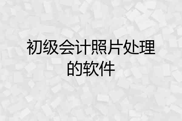 初级会计照片处理的软件
