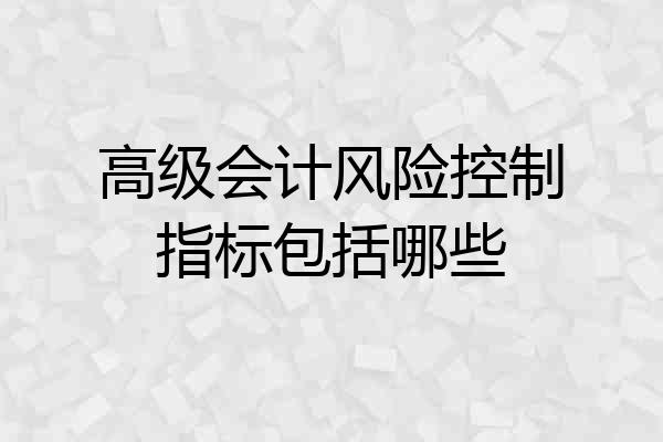 高级会计风险控制指标包括哪些
