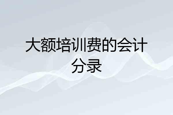 大额培训费的会计分录