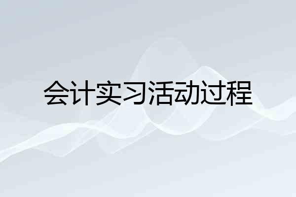 会计实习活动过程