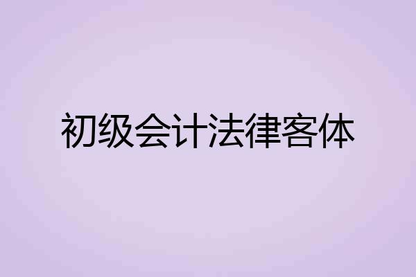 初级会计法律客体