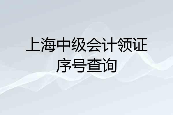 上海中级会计领证序号查询