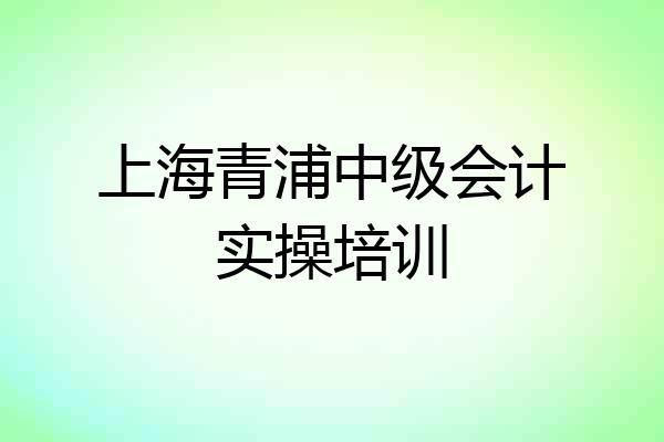 上海青浦中级会计实操培训