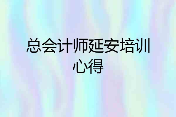 总会计师延安培训心得