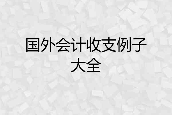国外会计收支例子大全