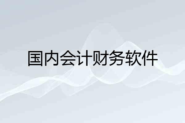 国内会计财务软件