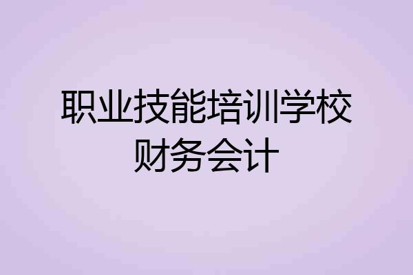 职业技能培训学校财务会计