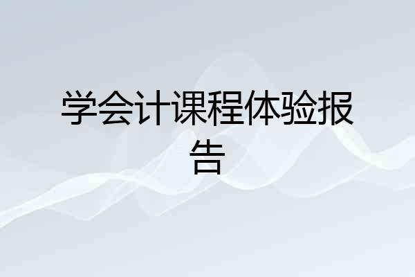 学会计课程体验报告