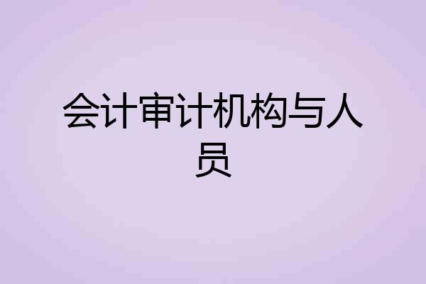 会计审计机构与人员
