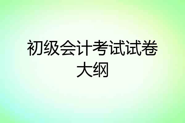 初级会计考试试卷大纲