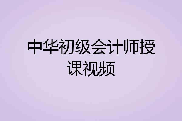 中华初级会计师授课视频