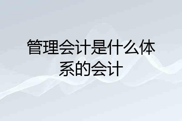 管理会计是什么体系的会计