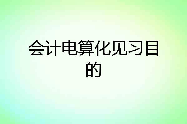 会计电算化见习目的