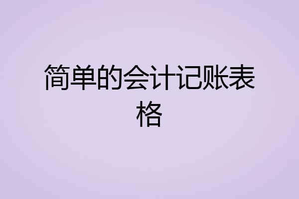 简单的会计记账表格