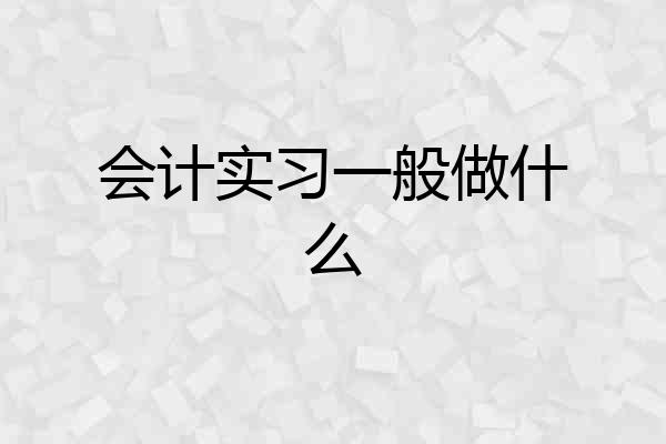 会计实习一般做什么